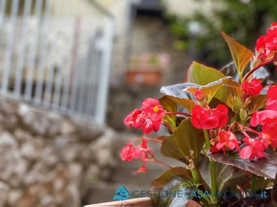 Casa Con Ampio Giardino In Centro La Taverna Villa อิทริ ภายนอก รูปภาพ